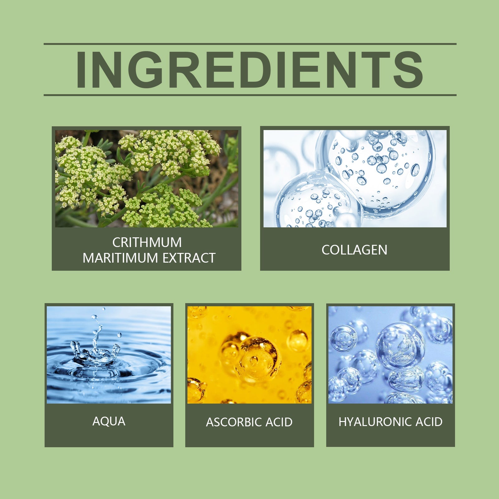 Sea Fennel Collagen Essence, Moisturizing And Repairing Facial Skin Daily Skin Care Moisturizing Essence