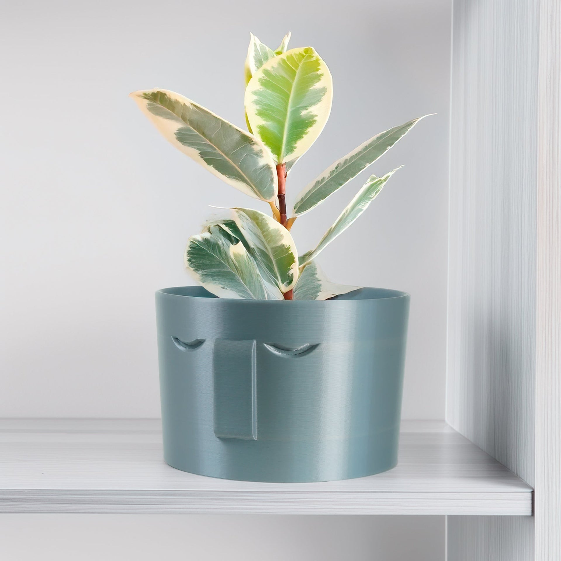 Minimal Face Planter, Small Medium Large, With Drip Tray and Great Drainage