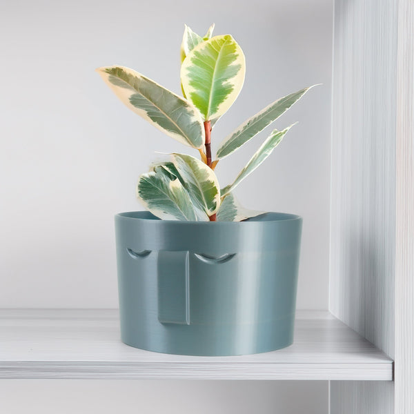 Minimal Face Planter, Small Medium Large, With Drip Tray and Great Drainage