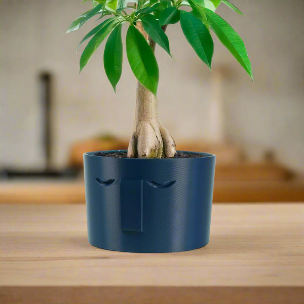 Minimal Face Planter, Small Medium Large, With Drip Tray and Great Drainage