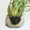 BLACK TOURMALINE GEOMETRIC PLANTER