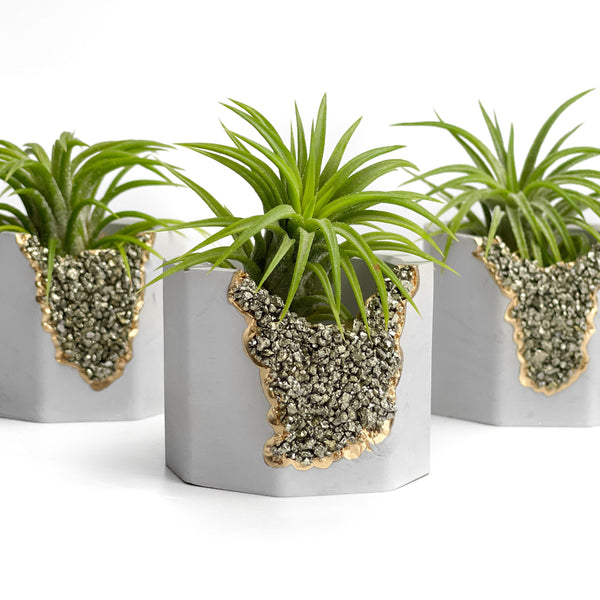 PYRITE GEODE PLANTER