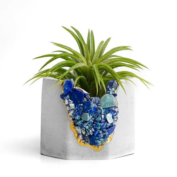 LAPIS LAZULI GEODE PLANTER