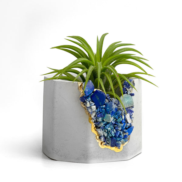 LAPIS LAZULI GEODE PLANTER