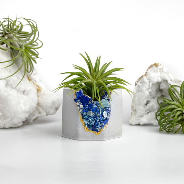 LAPIS LAZULI GEODE PLANTER