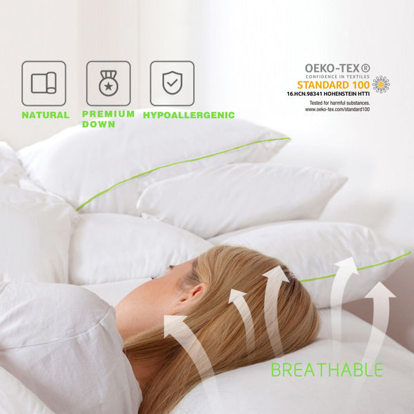 Kasentex Silky Green Piped Edge Goose Down Feather Pillow Set, White