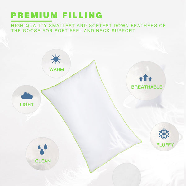 Kasentex Silky Green Piped Edge Goose Down Feather Pillow Set, White