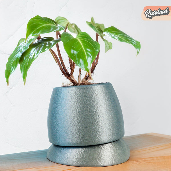 Nubium Planter