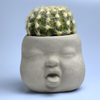 Baby Face Succulent Planter