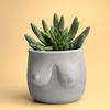 Boobs Planter | Woman Body Pot