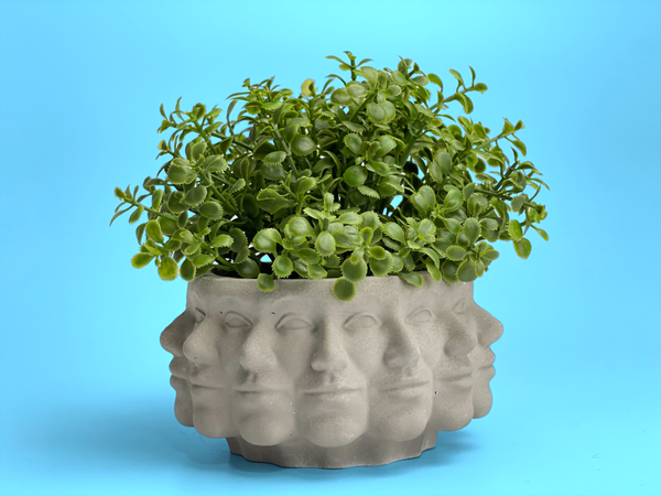 Multi Face Succulent Planter