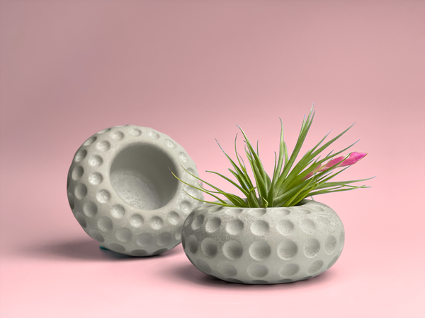 Concave Dots Air Plant Holder | Succulent Planter
