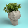 Face Succulent Planter on Hand