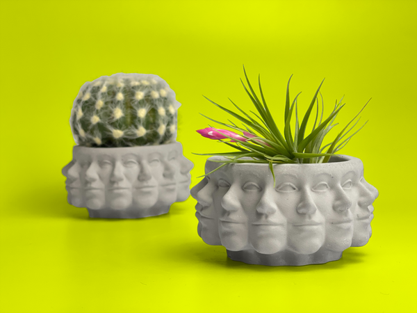 Multi Face Succulent Planter