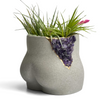 Amethyst Butt Planter