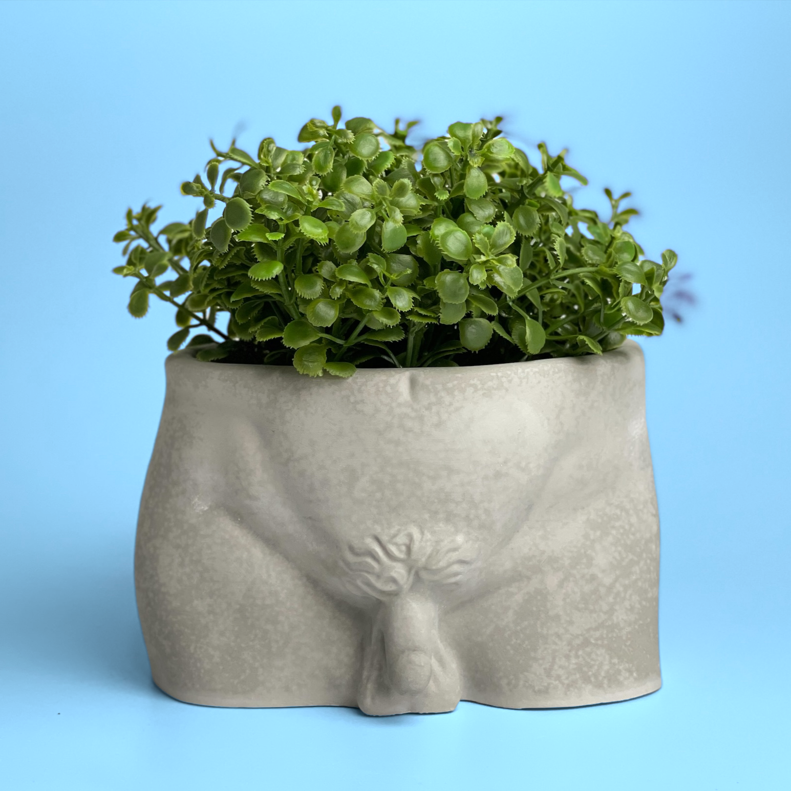 Male Body Planter Pot | Butt