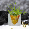 YELLOW AGATE GEODE PLANTER