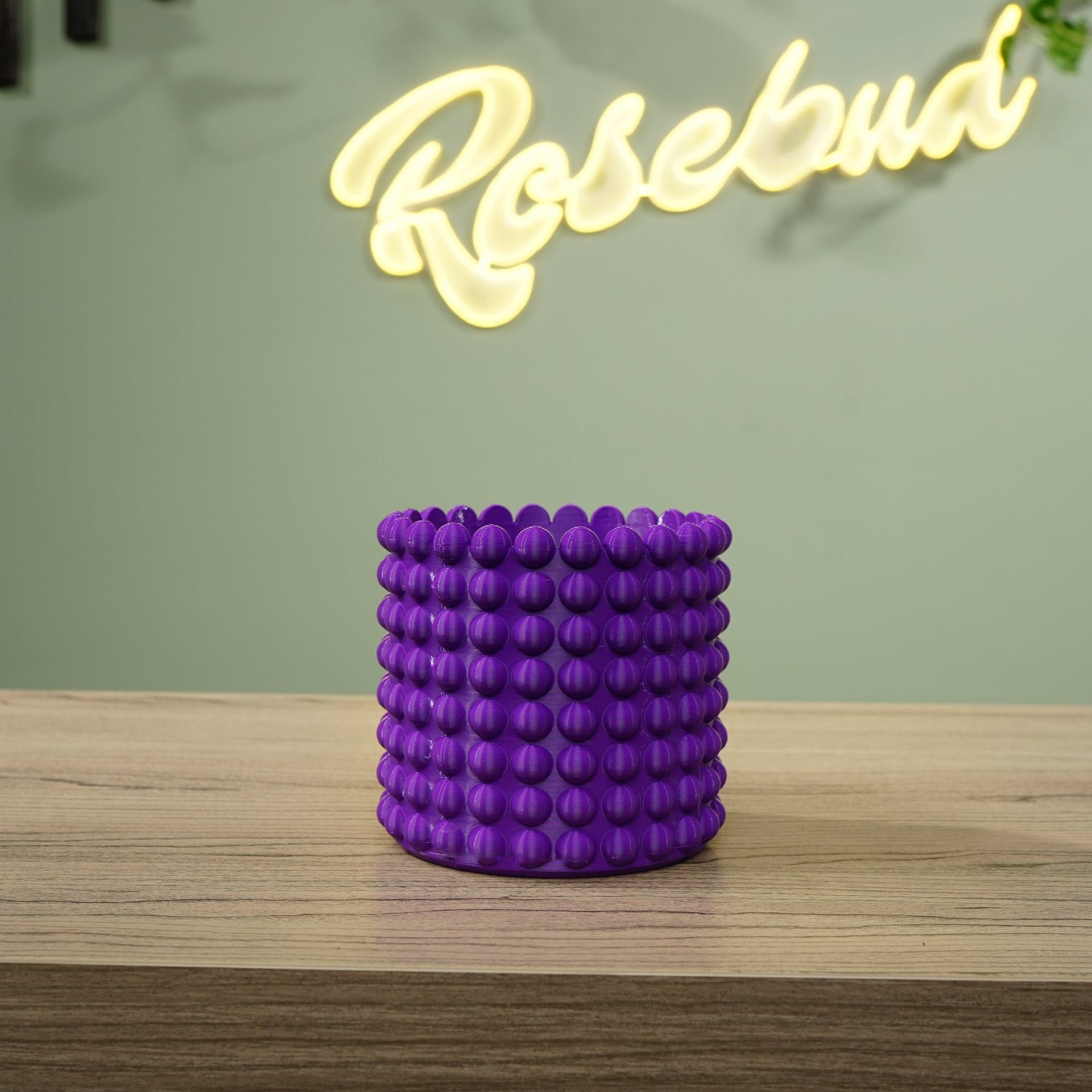 Ring of Pearls Planter Pot