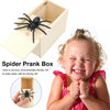 Scare Box Spider