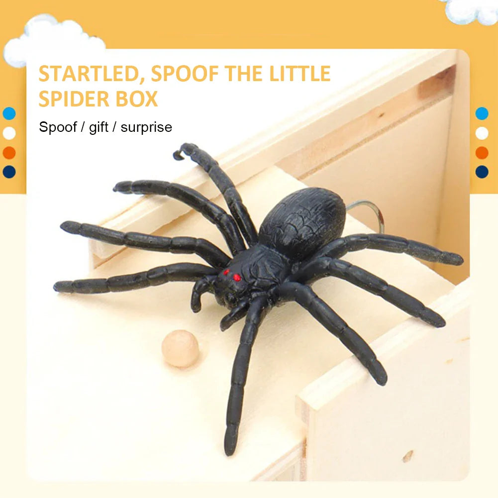 Scare Box Spider
