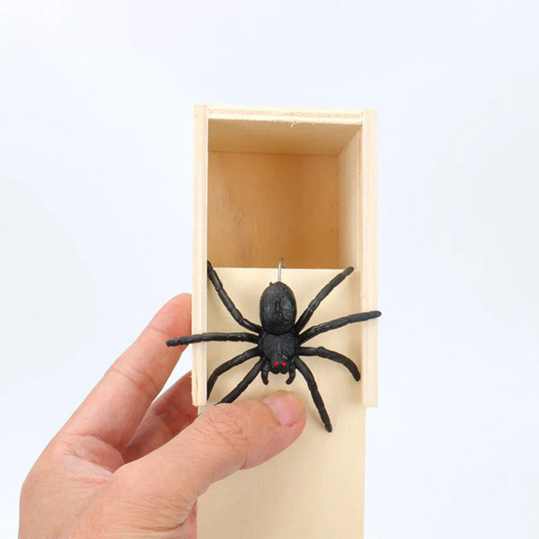 Scare Box Spider