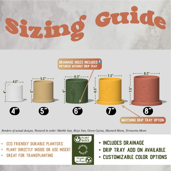 Daisy Rainbow Planter