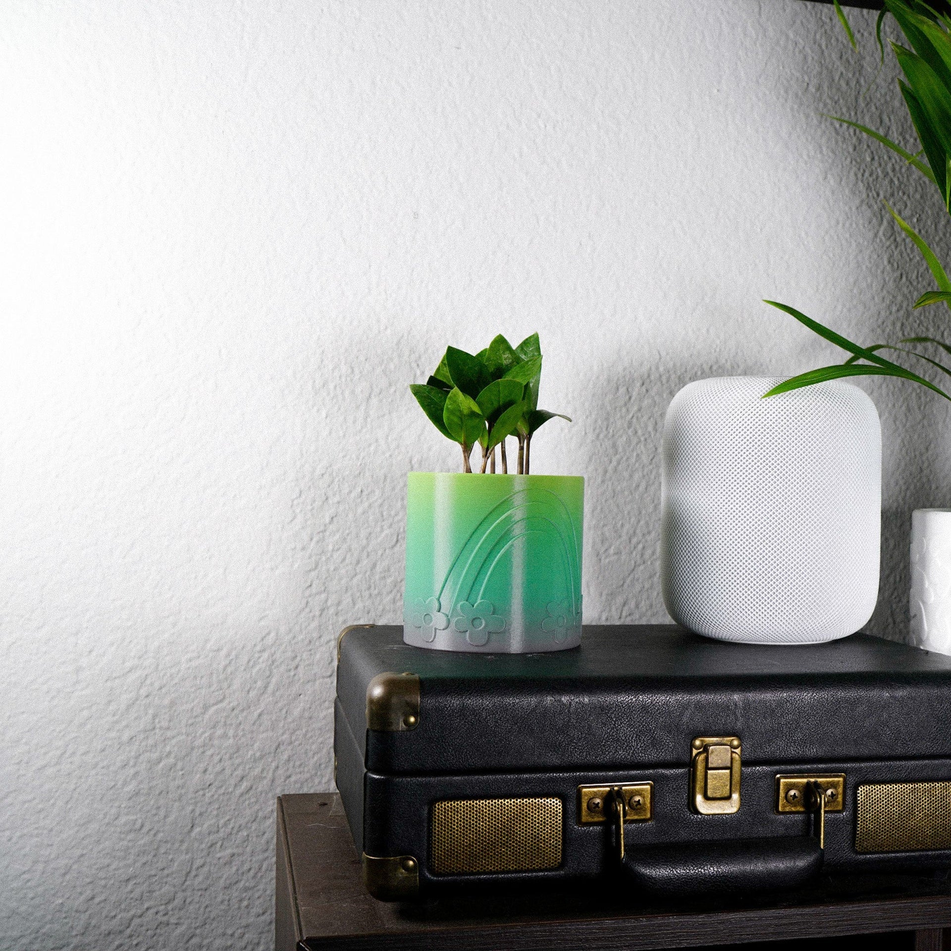 Daisy Rainbow Planter