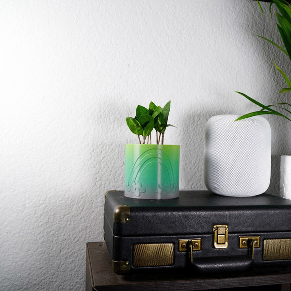 Daisy Rainbow Planter