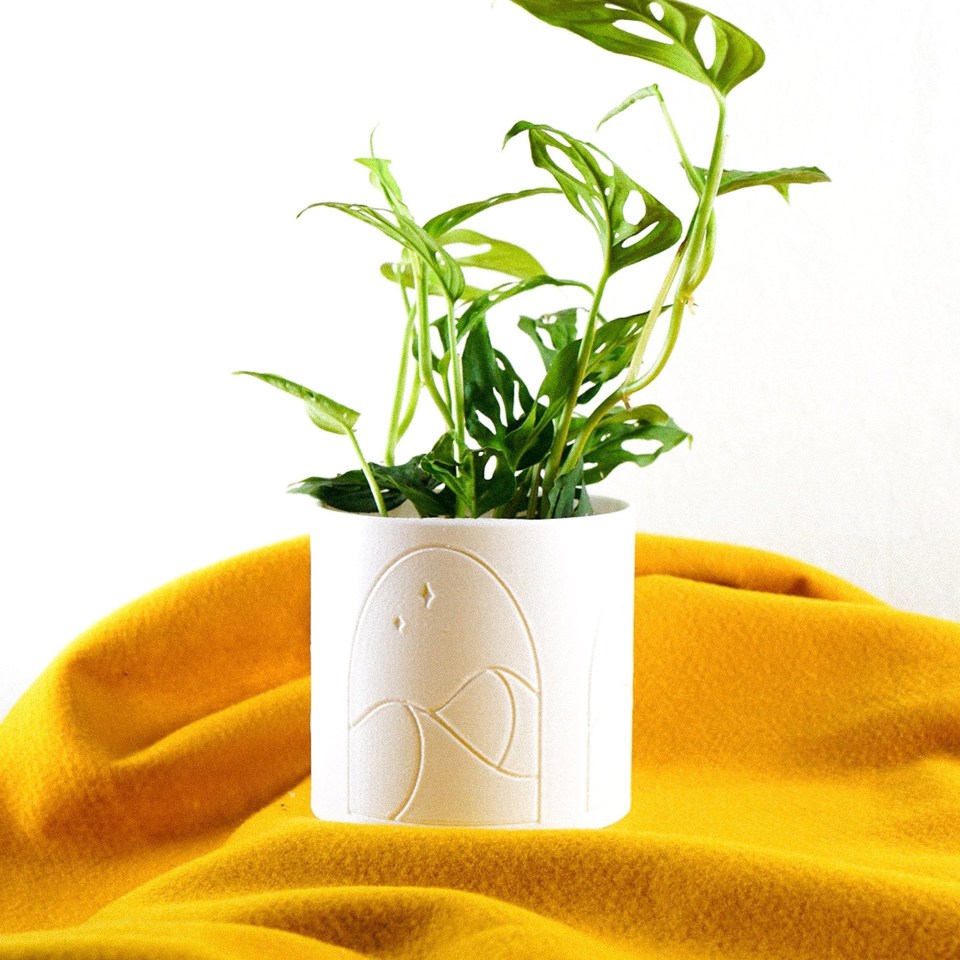 Desert Scape Planter