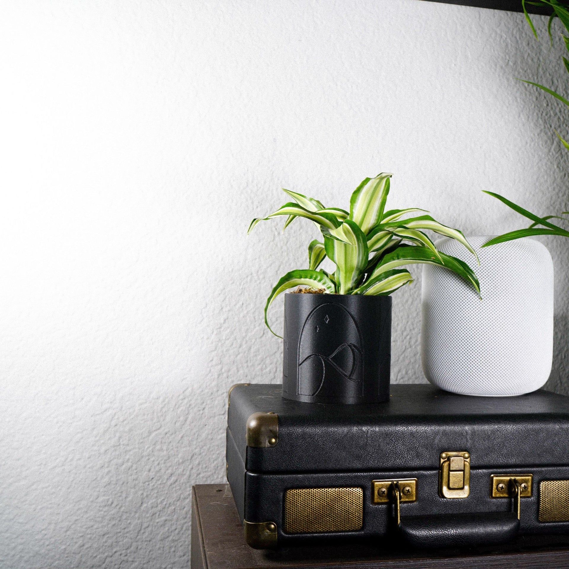 Desert Scape Planter