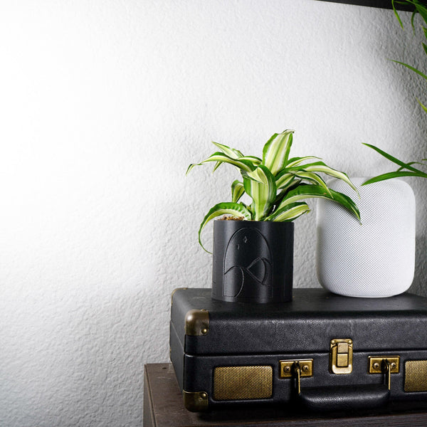 Desert Scape Planter