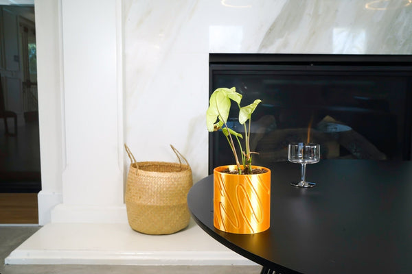 Double Rainbow Planter