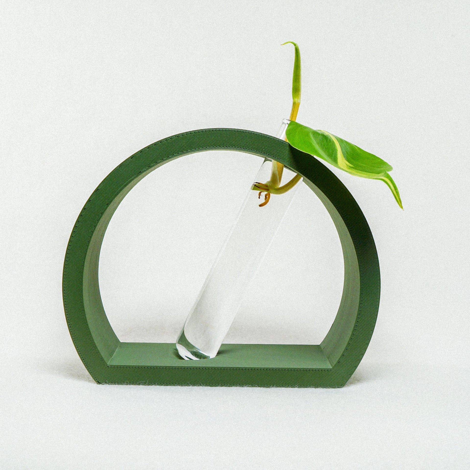 Half-Moon Propagation