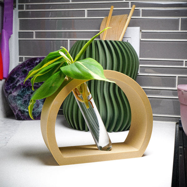 Half-Moon Propagation