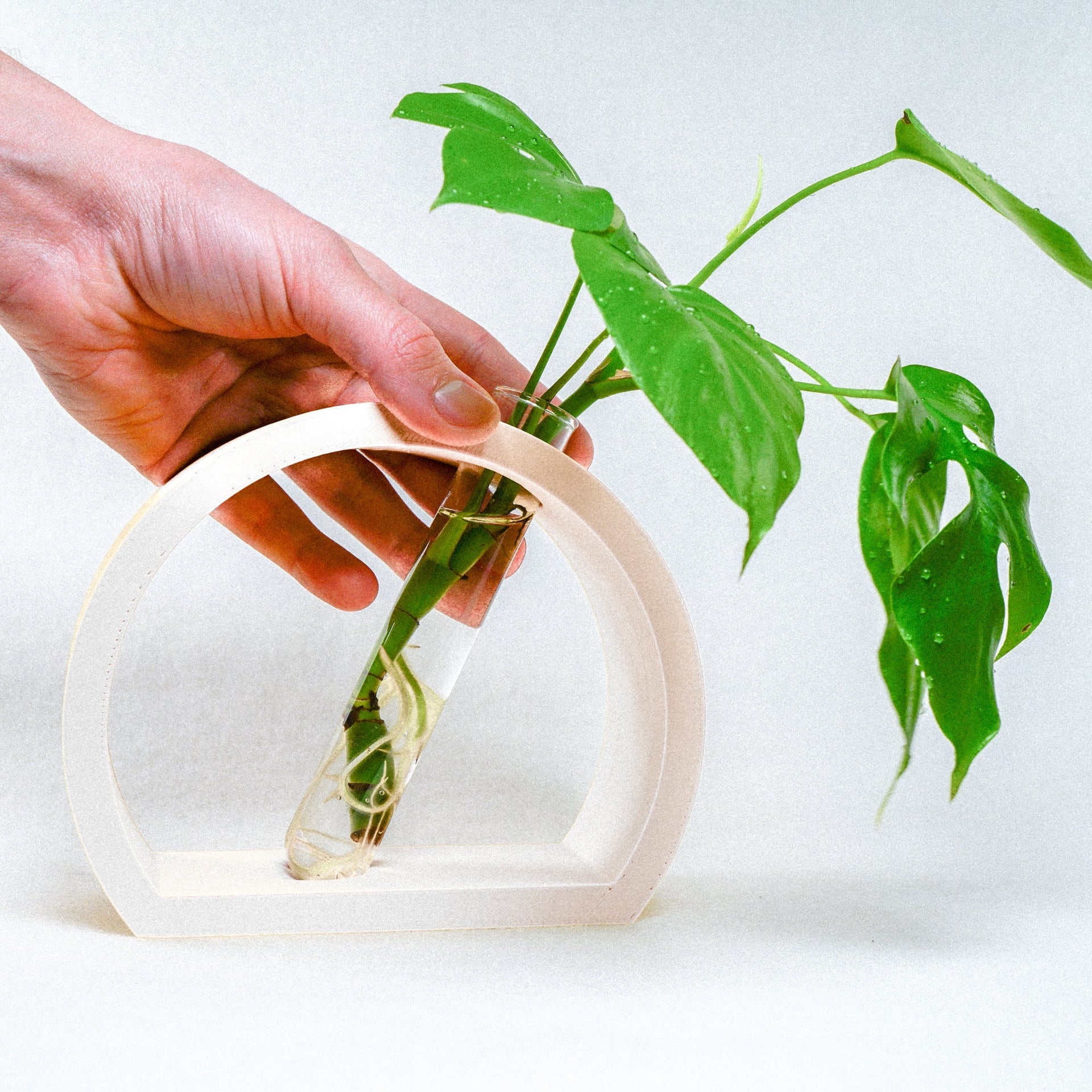 Half-Moon Propagation