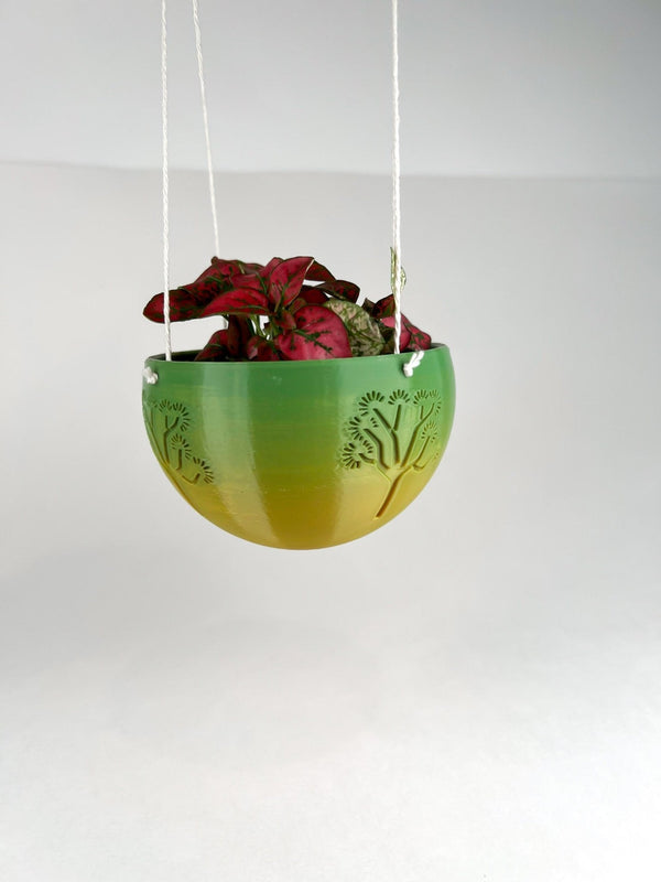 Hanging Joshua Tree Planter