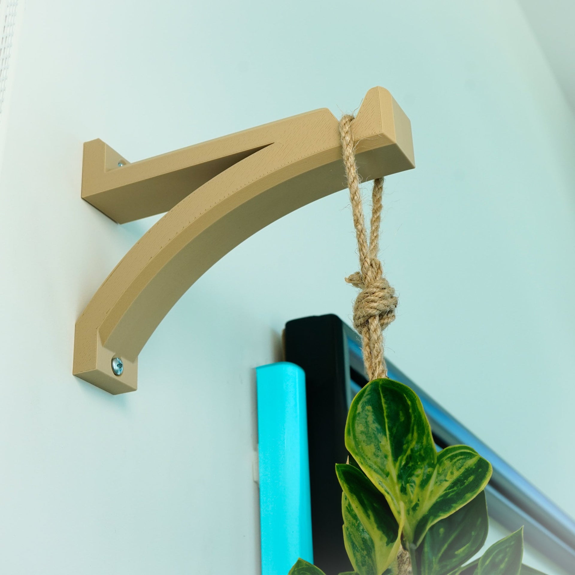 Hanging Planter Wall Hook, Curved