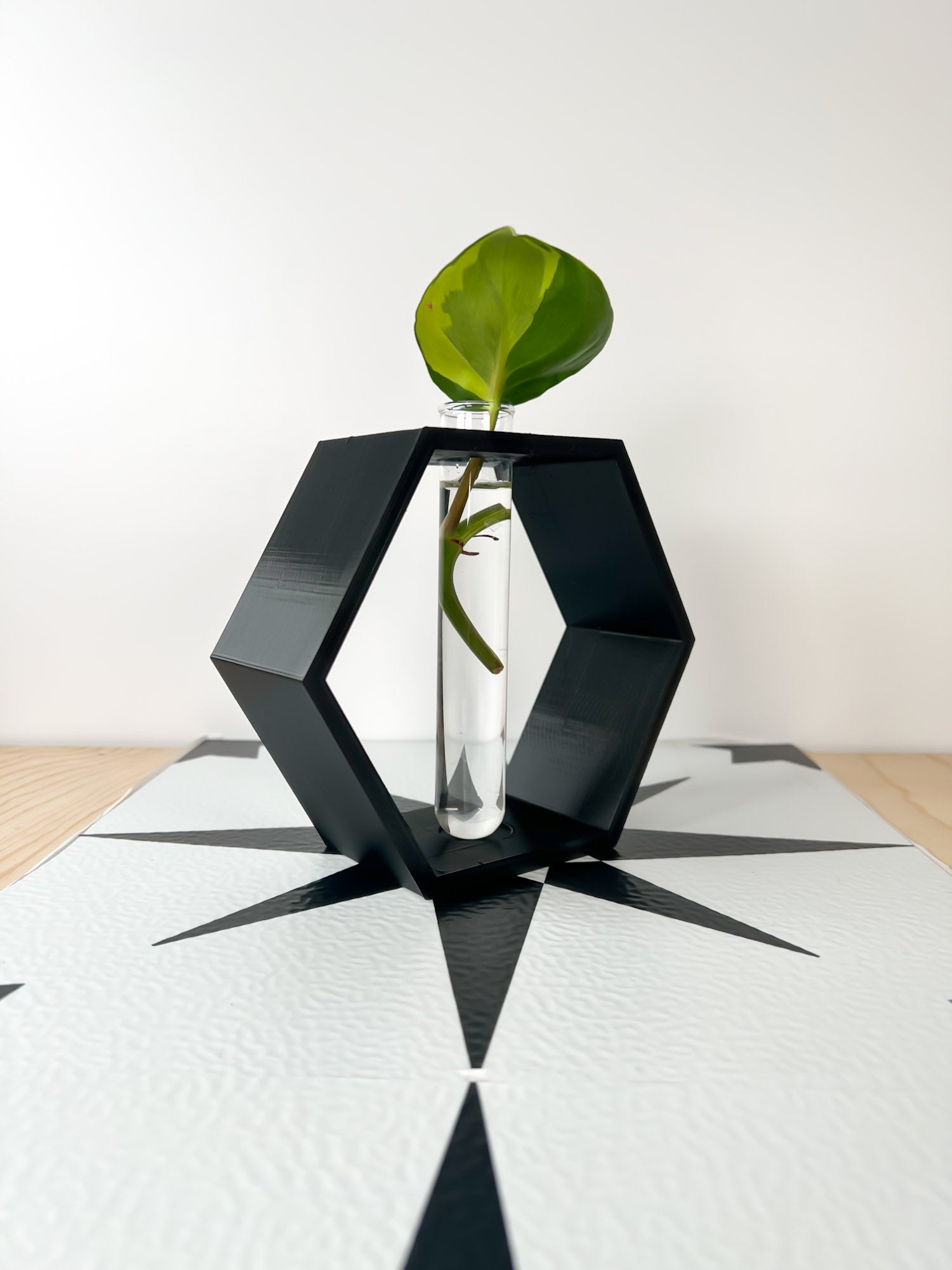 Hexagon Propagation Station