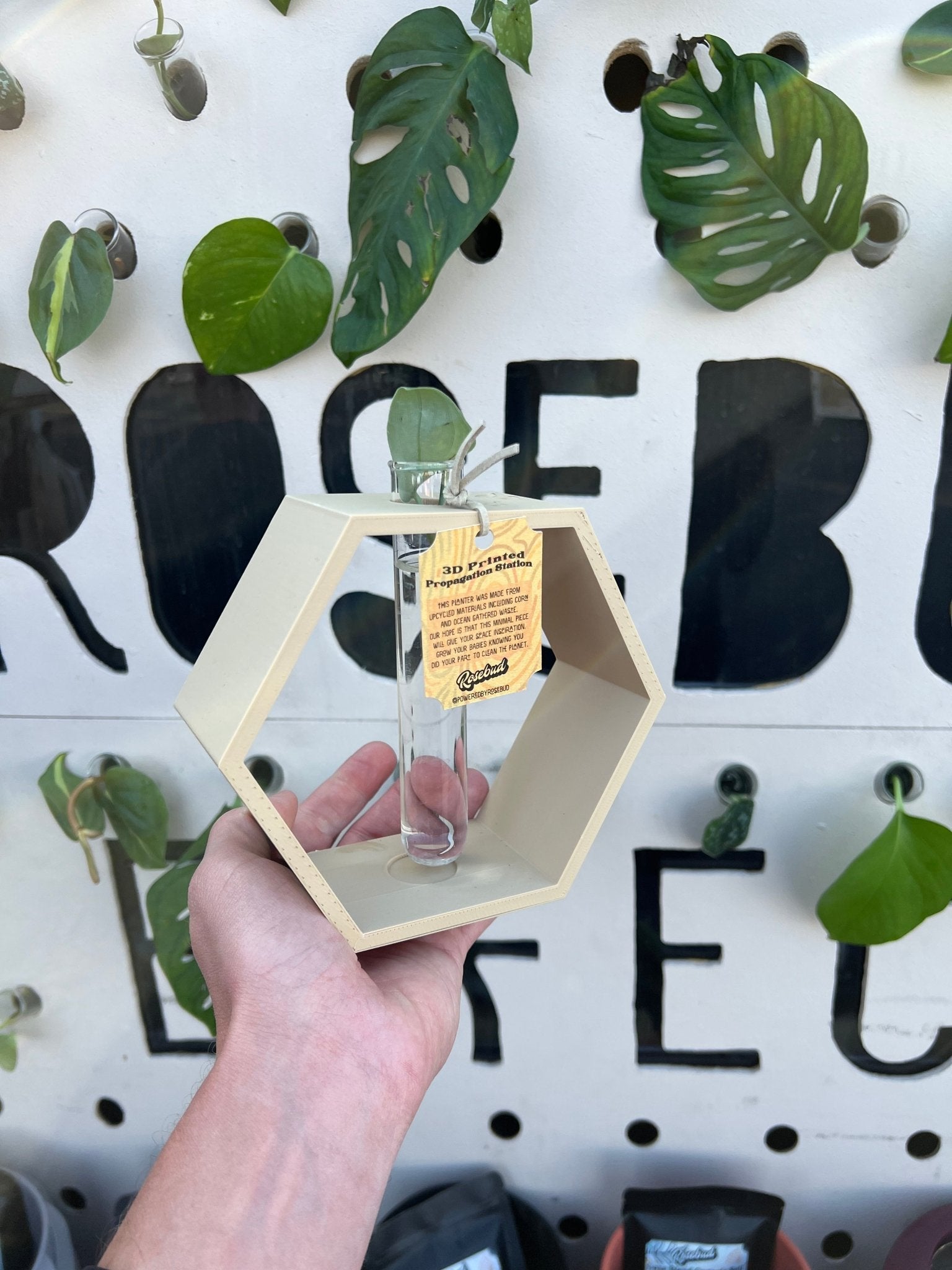 Hexagon Propagation Station