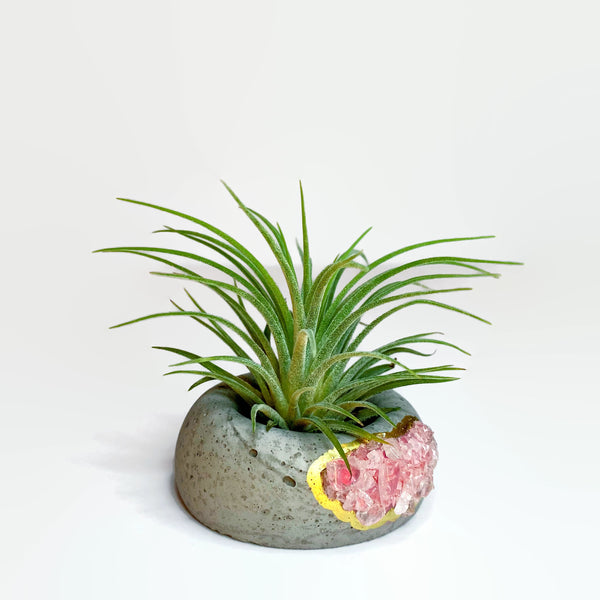 Geode Air Plant Holder -Rose Quartz Crystal Planter