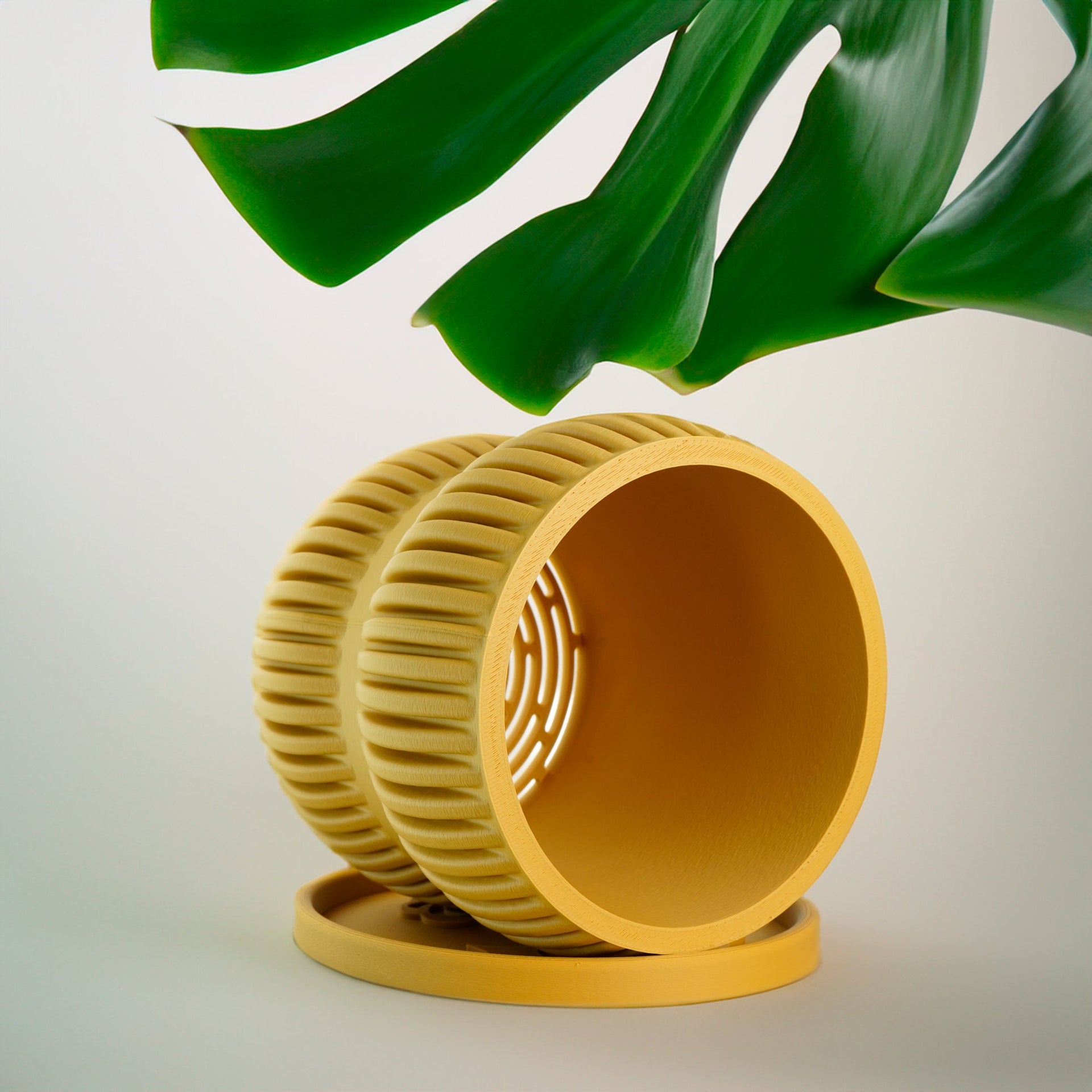 Aureus Planter with Drainage