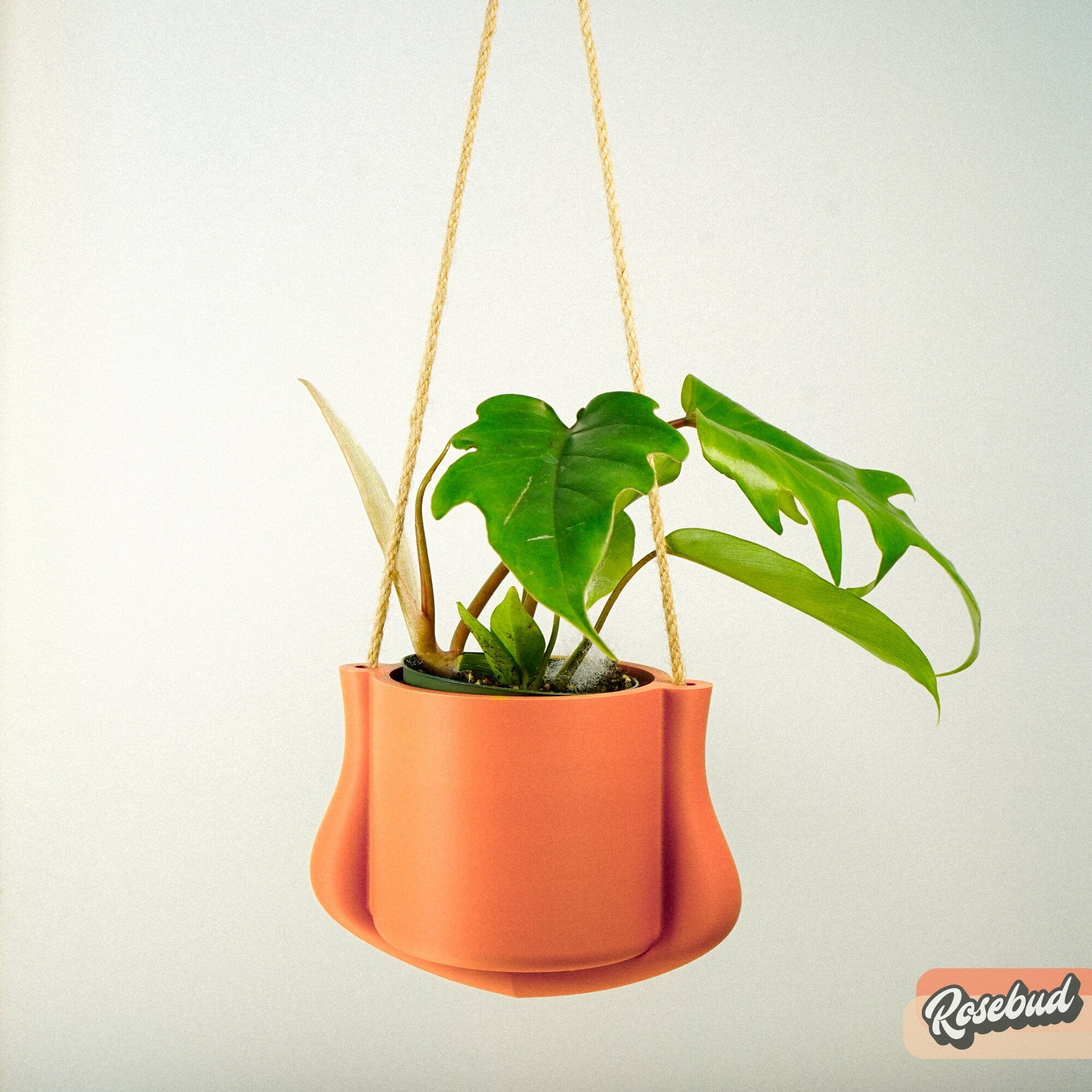 Hanging Planter - The Elysian