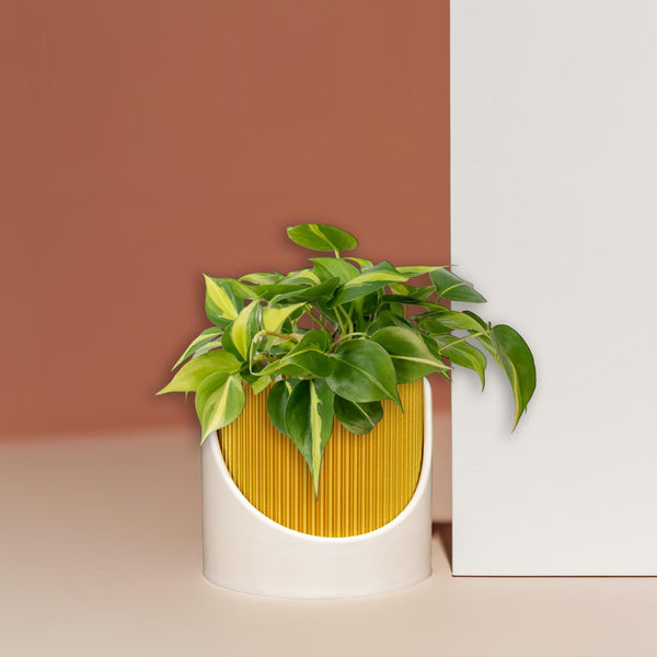 4 Inch Self Watering Planter, Large Indoor Outdoor Plant Pot with Drainage, Terracotta, Green, Beige, Modern Ribbed Design