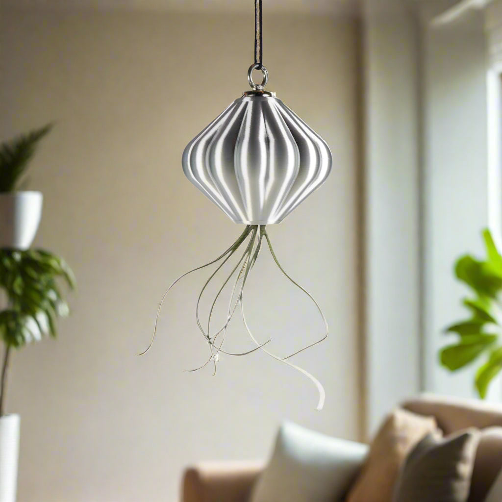 MAGNETIC Air Planter, JellyFish, Air Plant Included