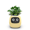 Plantly Smart Flowerpots,Smart Pet Planter,Ai Planter,Intelligent Flowerpots,Multiple Expressions,7 Smart Sensors, and Ai Chips for Gardening (Yellow)