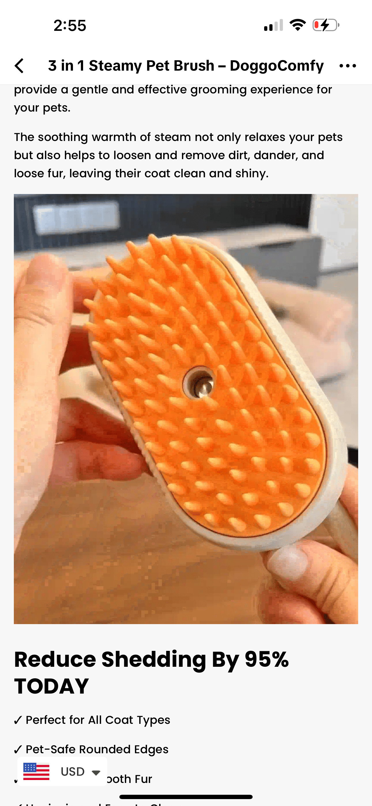 Steamy Hair Brush