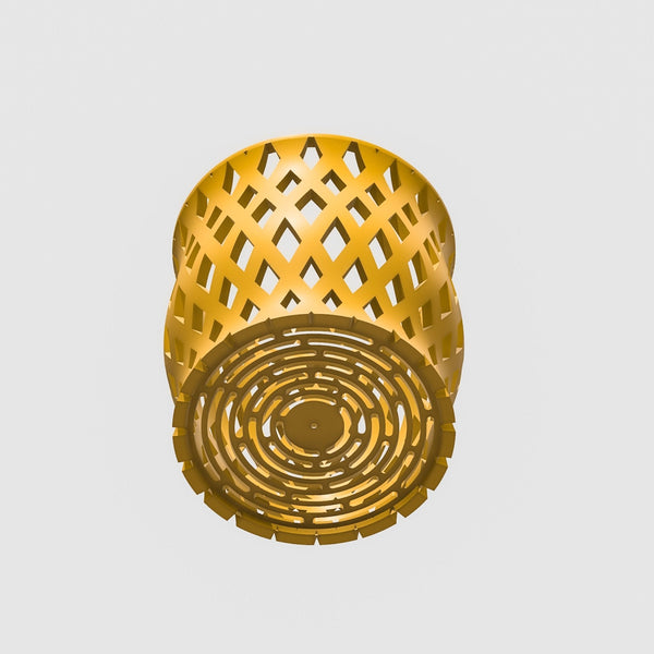 Capricious Orchid Planter Pot