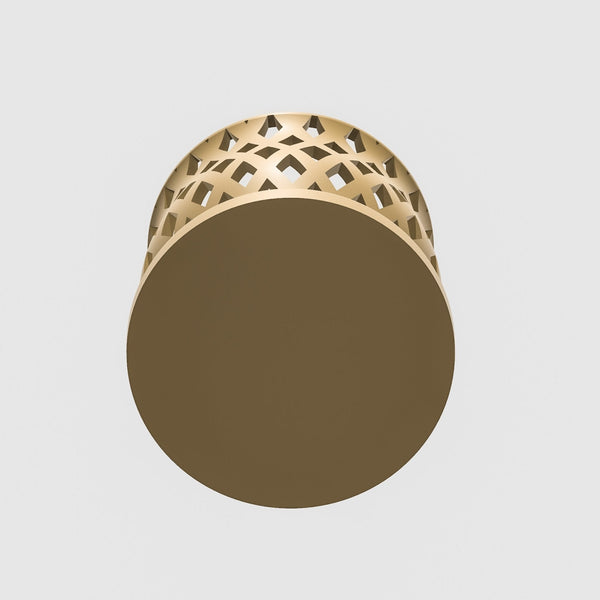 Capricious Orchid Planter Pot